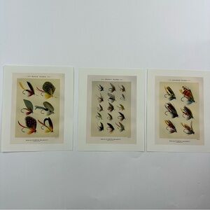 Fishing Fly Fishing Lures by Mary Orvis Marbury Prints Artwork for Hanging
